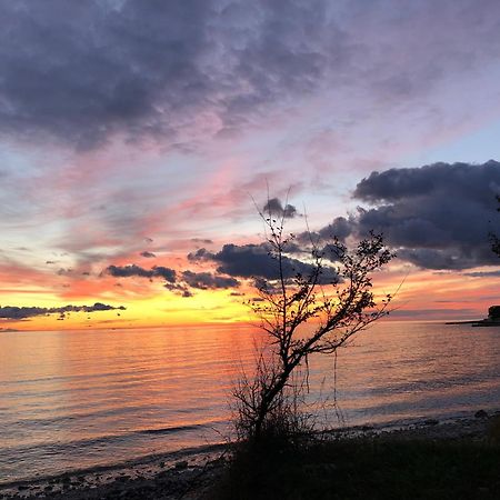 Appartamento App Sorgo Novigrad Istria Esterno foto