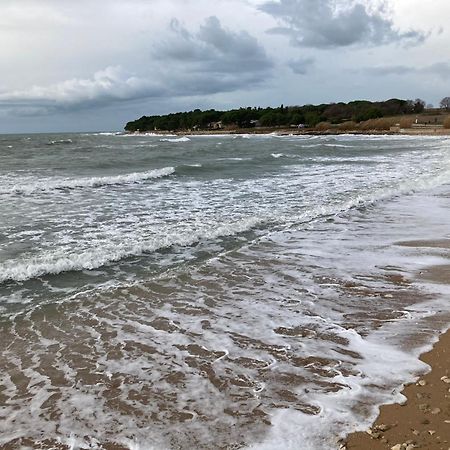 Appartamento App Sorgo Novigrad Istria Esterno foto