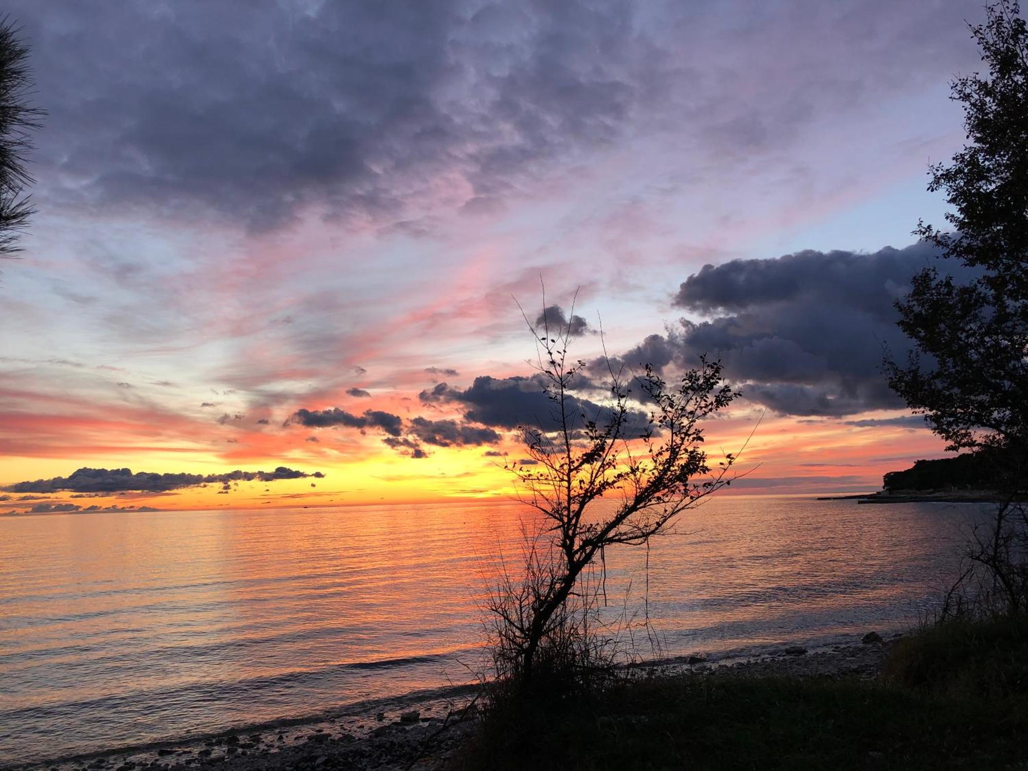 Appartamento App Sorgo Novigrad Istria Esterno foto
