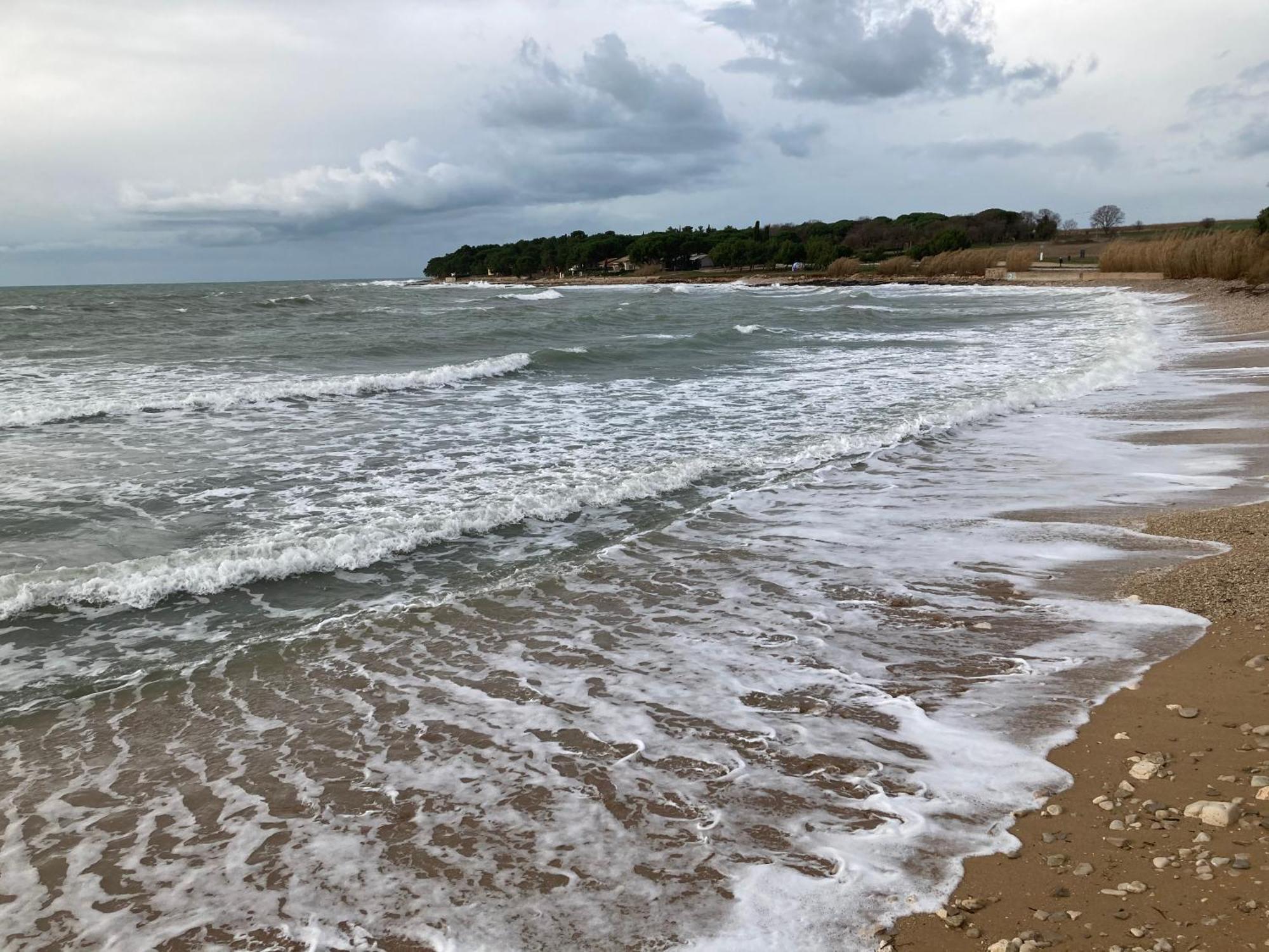 Appartamento App Sorgo Novigrad Istria Esterno foto