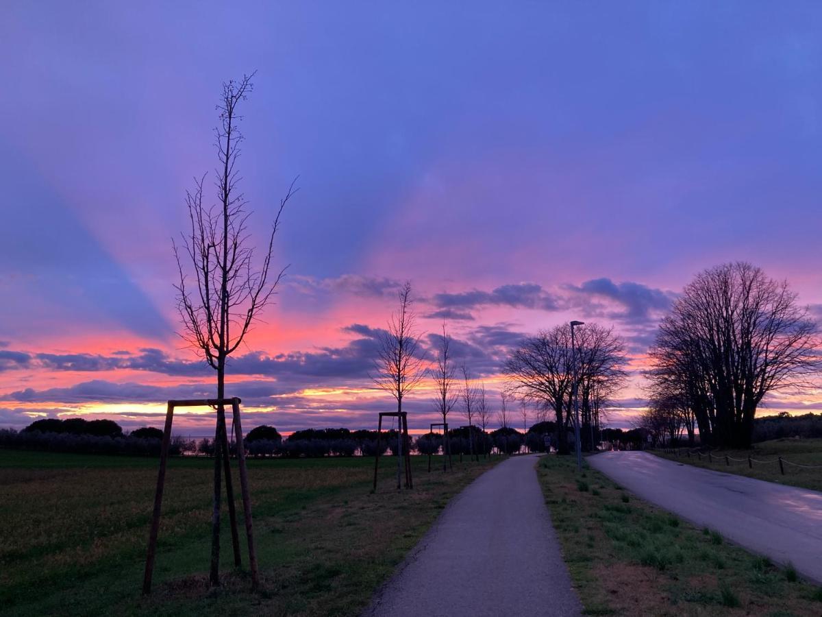 Appartamento App Sorgo Novigrad Istria Esterno foto