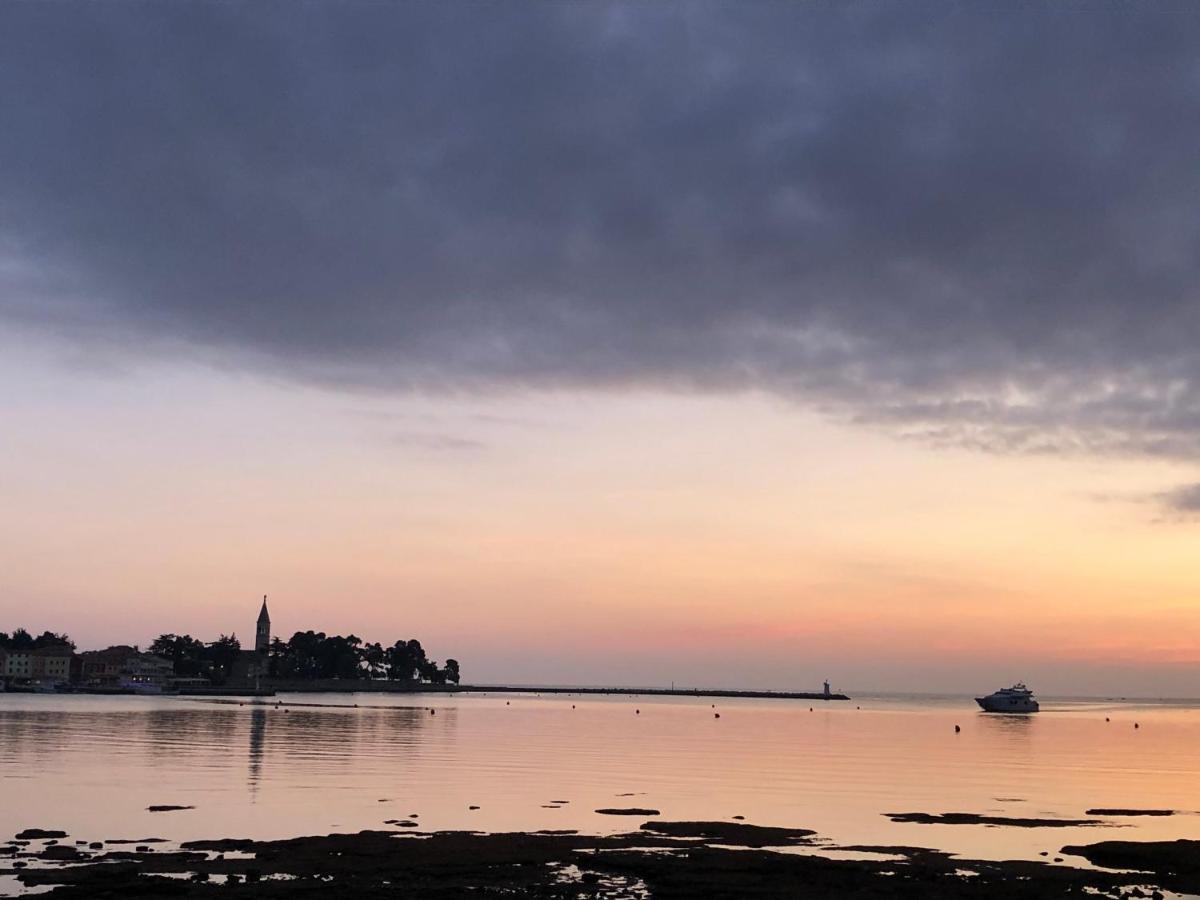 Appartamento App Sorgo Novigrad Istria Esterno foto