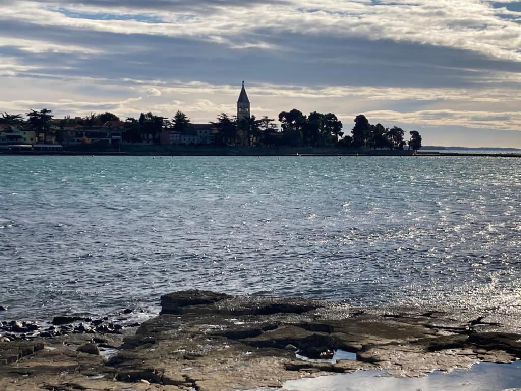 Appartamento App Sorgo Novigrad Istria Esterno foto