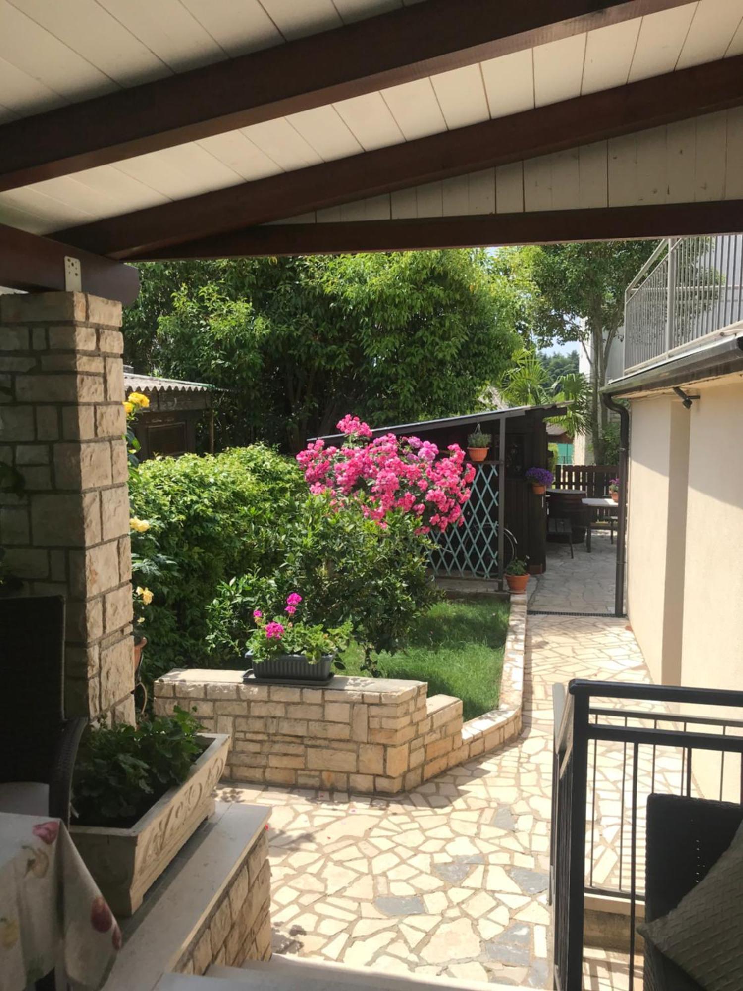 Appartamento App Sorgo Novigrad Istria Esterno foto
