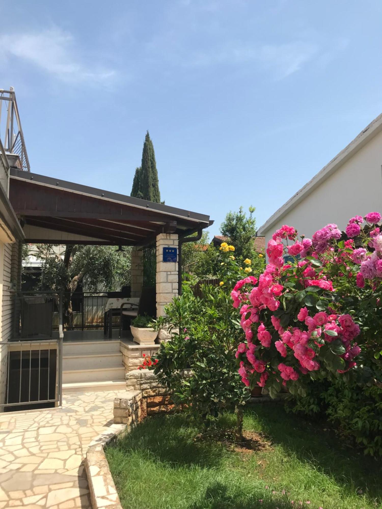 Appartamento App Sorgo Novigrad Istria Esterno foto