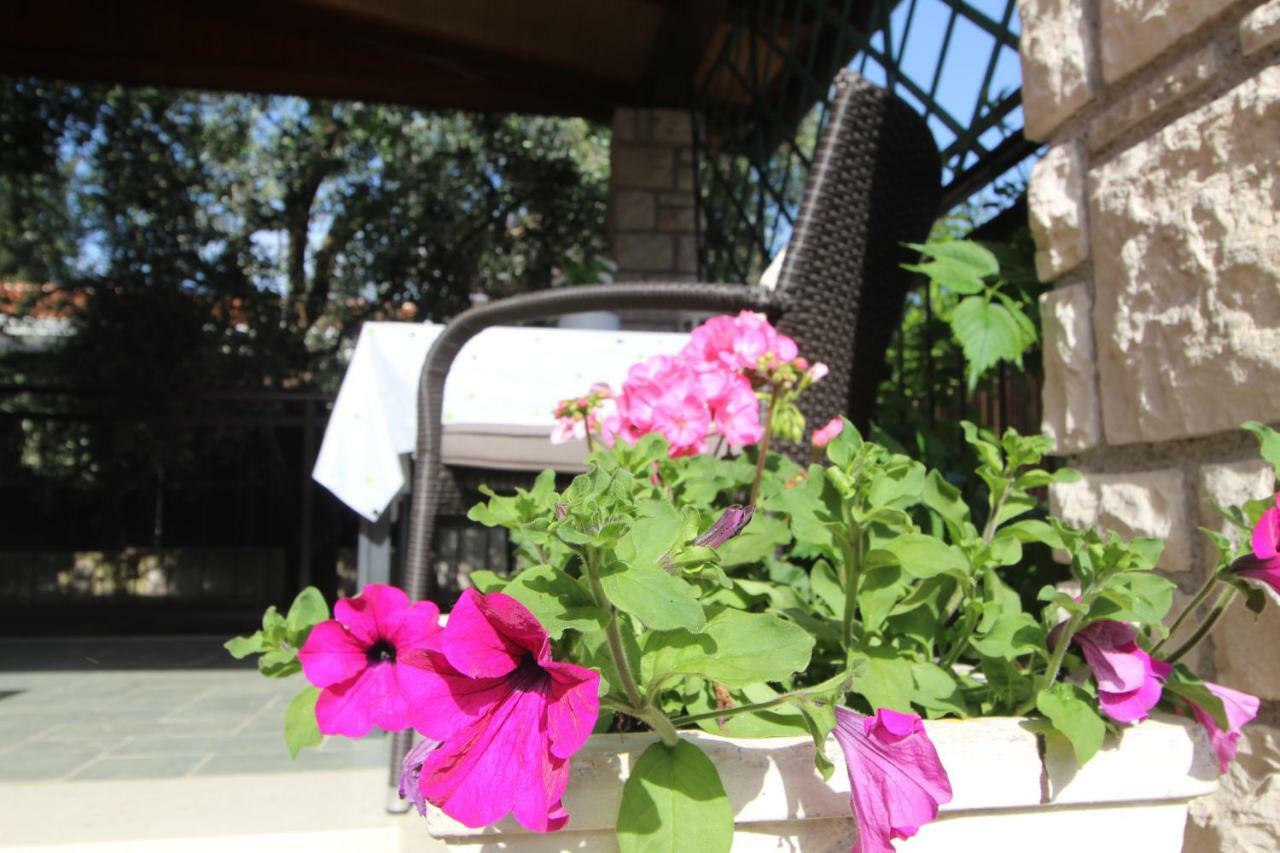 Appartamento App Sorgo Novigrad Istria Esterno foto