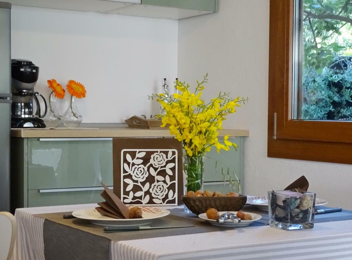 Appartamento App Sorgo Novigrad Istria Esterno foto
